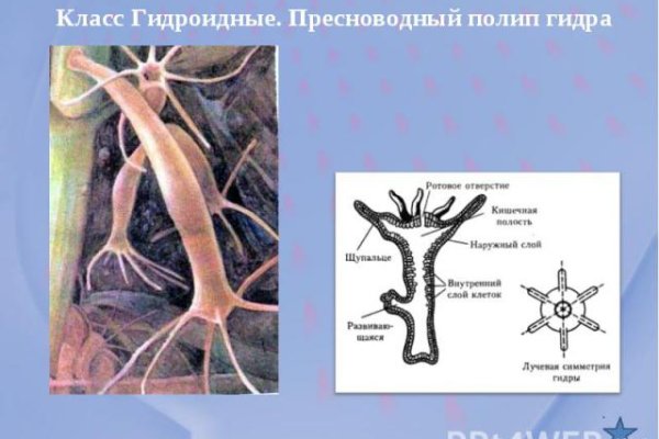 Купить наркотики москва