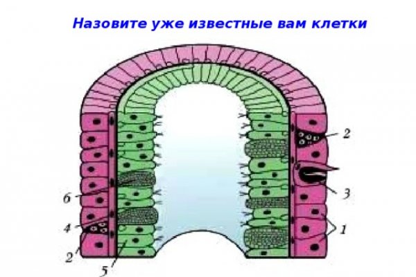 Маркет кракен маркетплейс