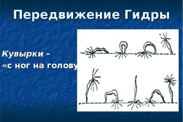 Кракен 9 at