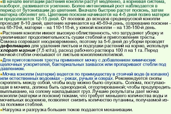 Кракен тгк