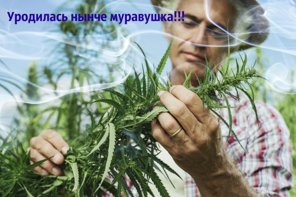 Ссылки на кракена и на мегу