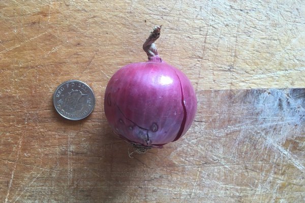 Kraken onion сайта