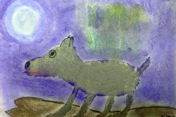 Kraken 5 at