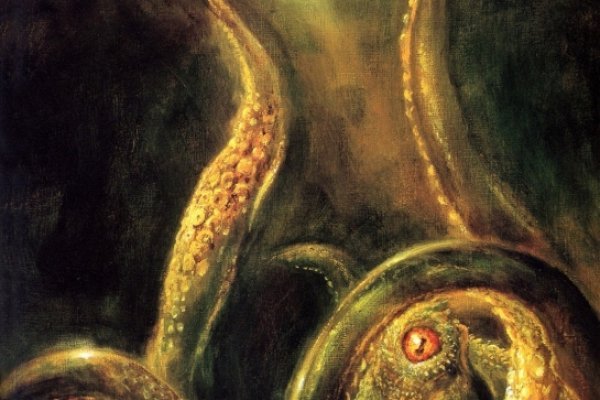 Kraken20at