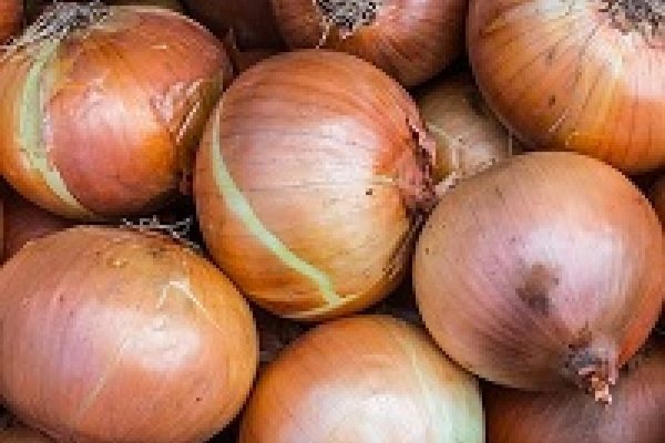 Вход на кракен зеркало