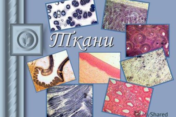 Кракен шеринг