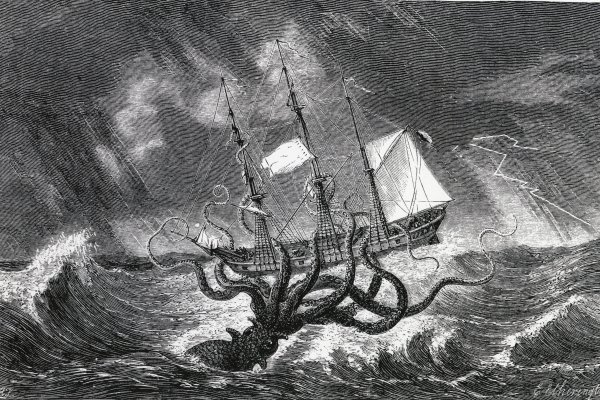 Kraken m22