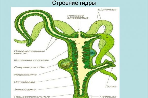 Кракен магазин ссылка
